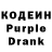 Codein Purple Drank kazachkov studio