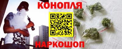 шишки Гусиноозёрск