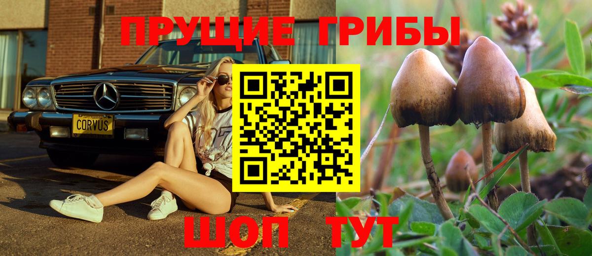 Красногорск  Галлюциногенные грибы мухоморы  Псилоцибиновые грибы Magic Shrooms  Вход с VPN 